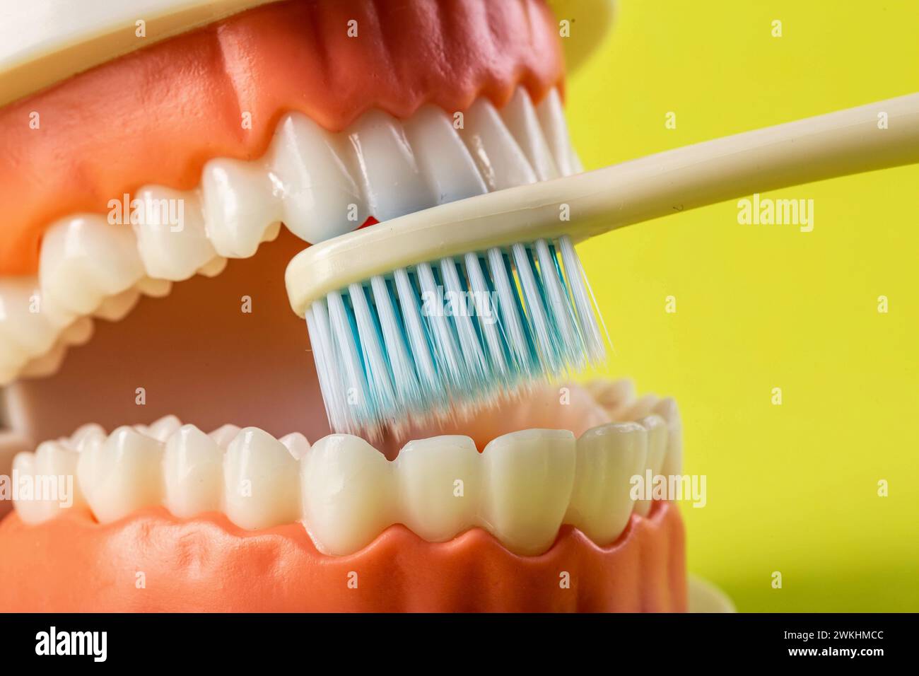 Uno spazzolino blu pulisce i denti nella cavità orale di un mockup dentario su sfondo giallo. Concetto di cura e igiene per denti e gengive. Preve Foto Stock