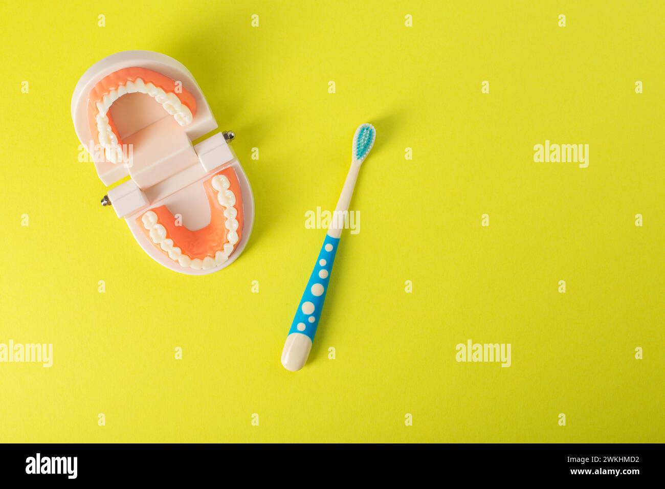 Spazzolino per bambini con setole morbide su sfondo giallo accanto a un modello di mascella dentale. Il concetto di cura e igiene per la cavità orale Foto Stock