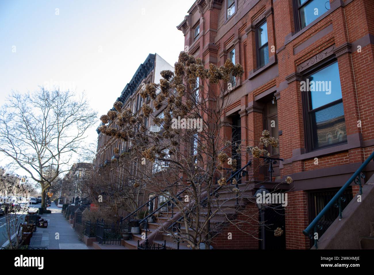 Gli edifici e gli alberi fiancheggiano una strada trafficata, con auto a New York, Stati Uniti Foto Stock
