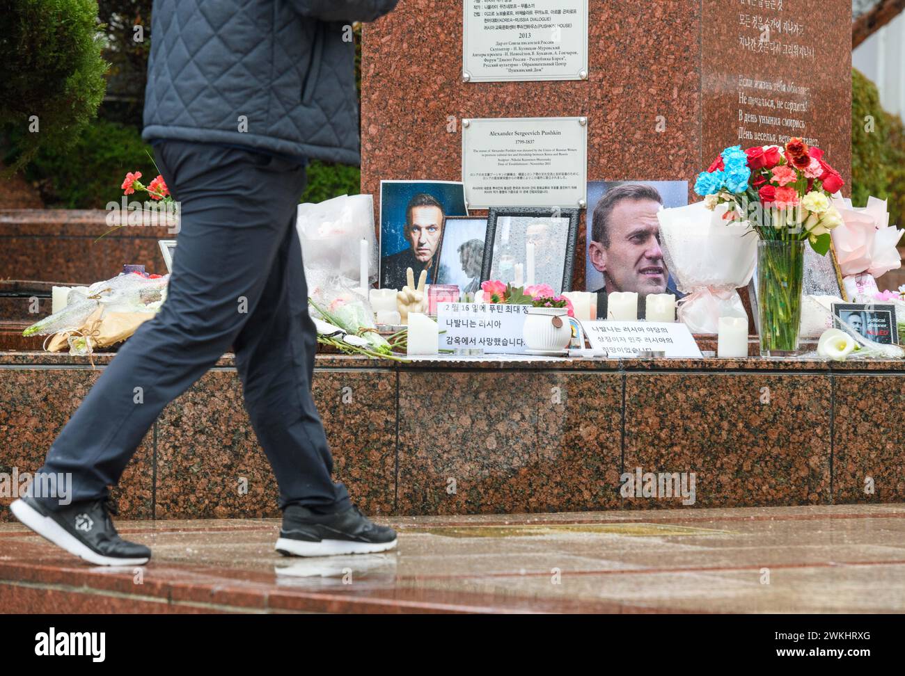 Seoul, Corea del Sud. 21 febbraio 2024. Un uomo passa davanti alla Pushkin plaza di Seoul, un luogo commemorativo per il defunto leader dell'opposizione russa Alexei Navalny. Alexei Navalny (4 giugno 1976 – 16 febbraio 2024) è stato un politico, avvocato, attivista anti-corruzione e prigioniero politico russo. Organizzò proteste anti-governative e si candidò a cariche pubbliche per opporsi alla corruzione in Russia e sostenere le riforme contro il presidente Vladimir Putin e il suo governo. (Foto di Kim Jae-Hwan/SOPA Images/Sipa USA) credito: SIPA USA/Alamy Live News Foto Stock