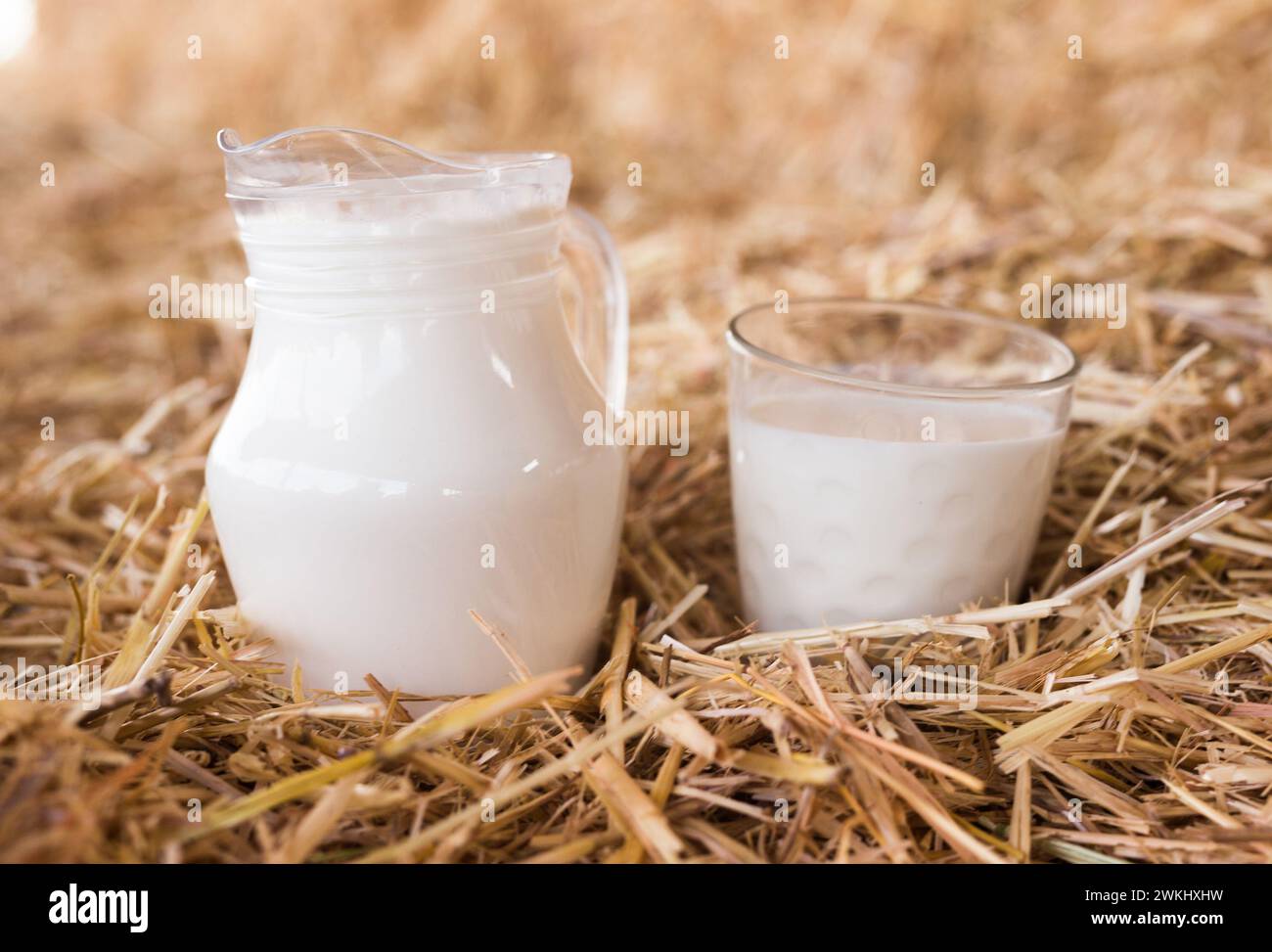 Latte fresco in una caraffa nel fieno Foto Stock