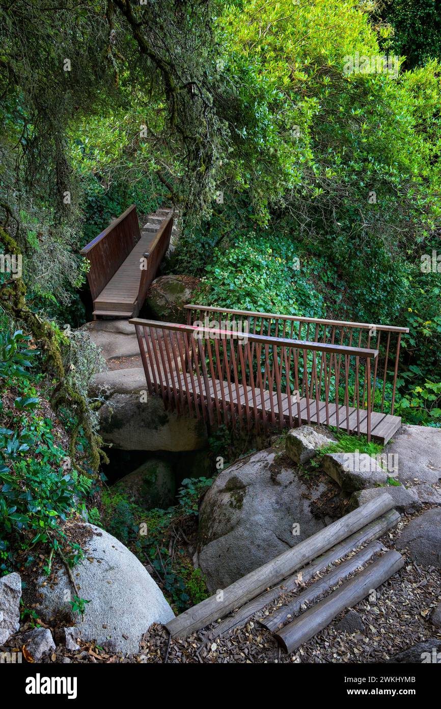 Pittoresco sentiero con passerelle che attraversano gli spazi tra le rocce nella fitta foresta dei Monti Sintra. Sentiero panoramico per escursioni dalla città di Sintra al Palazzo di P. Foto Stock
