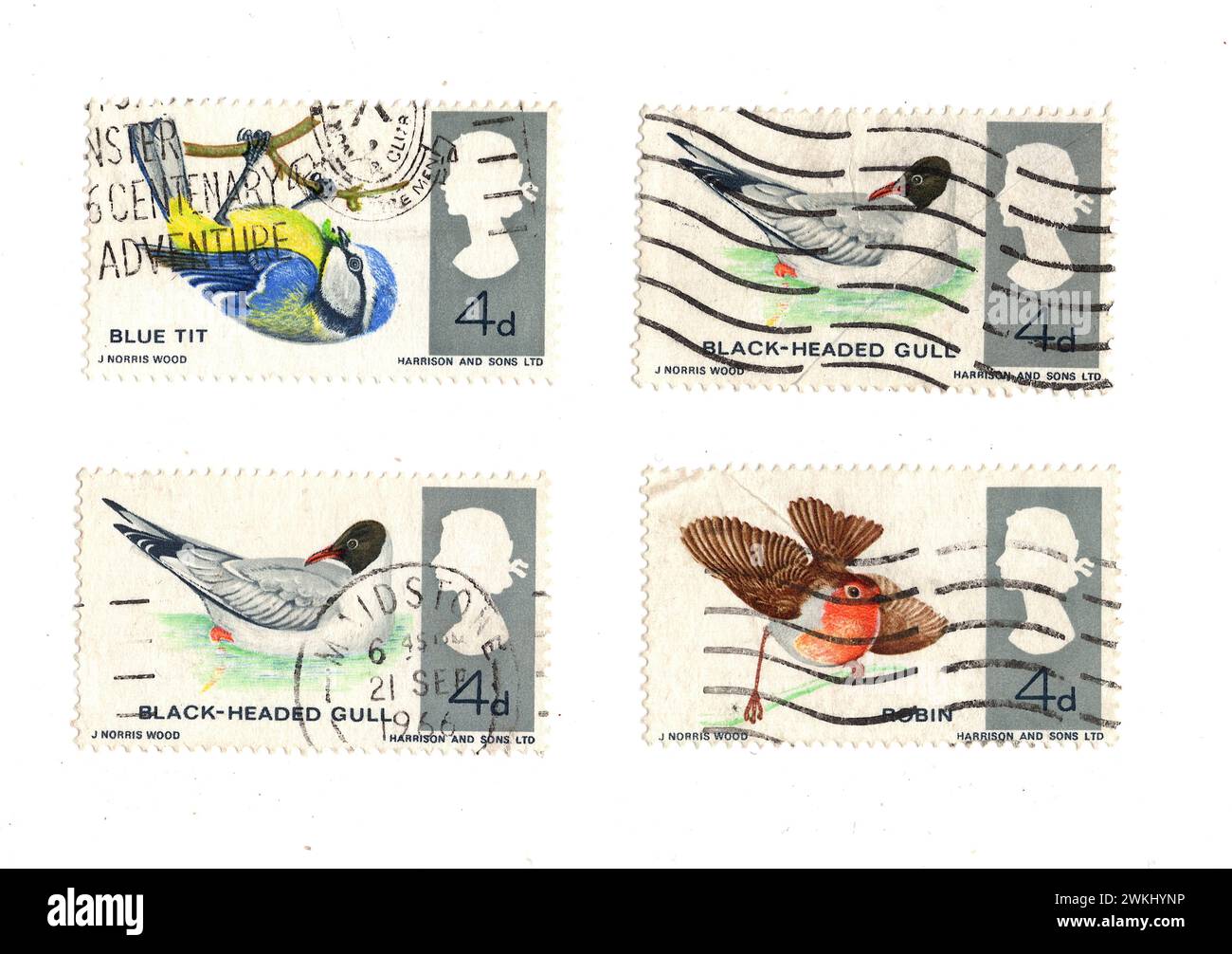 Una serie di francobolli inglesi d'epoca pre decimali provenienti dal Regno Unito isolati su sfondo bianco. Foto Stock