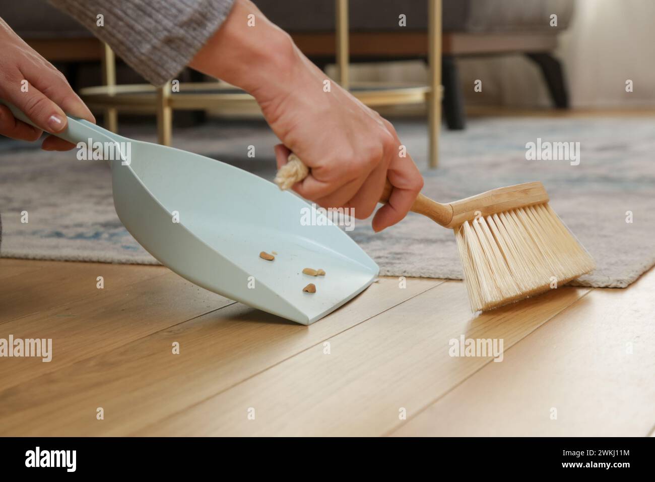 Immagine ravvicinata di un appartamento di donna che pulisce le mani con una scopa piccola e una padella Foto Stock