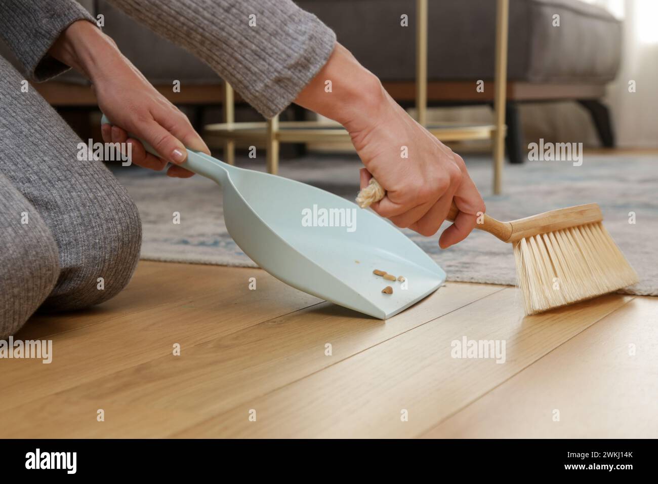 Immagine ravvicinata di un appartamento di donna che pulisce le mani con una scopa piccola e una padella Foto Stock