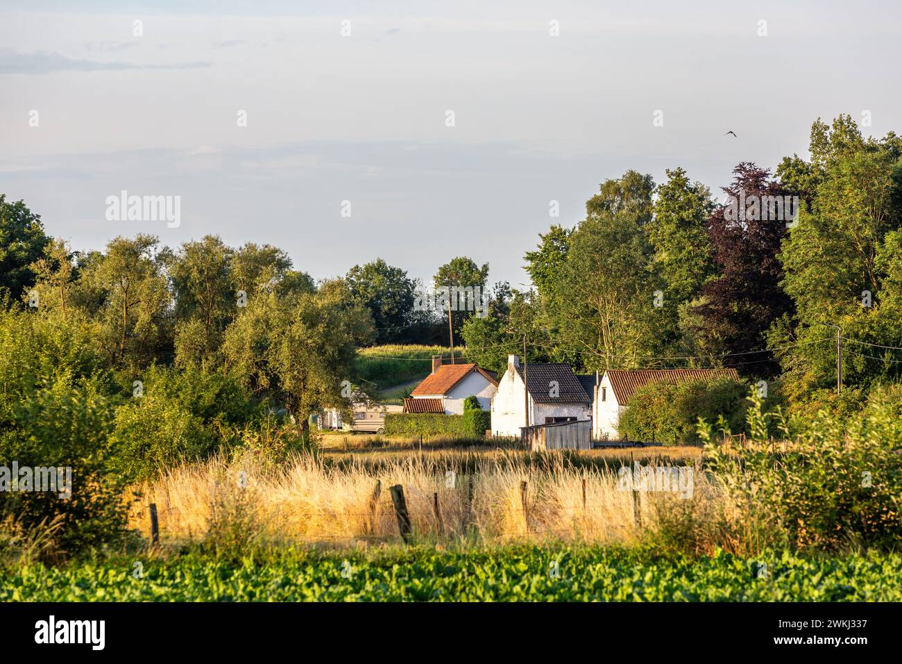 Case bianche di un borgo in un ambiente rurale in estate Foto Stock