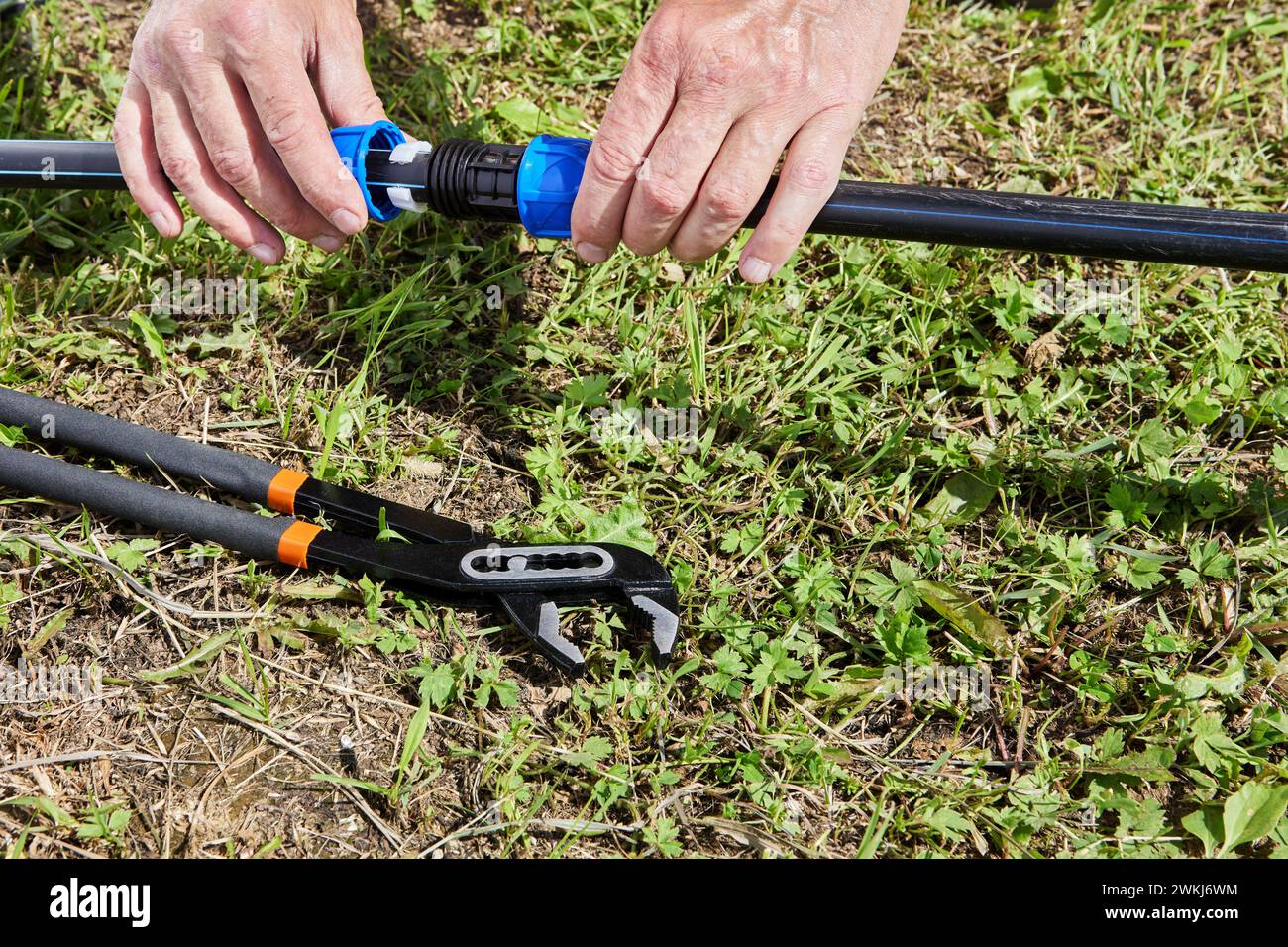 Collegamento di tubi in HDPE con raccordo a compressione durante l'installazione dell'alimentazione dell'acqua di irrigazione. Foto Stock