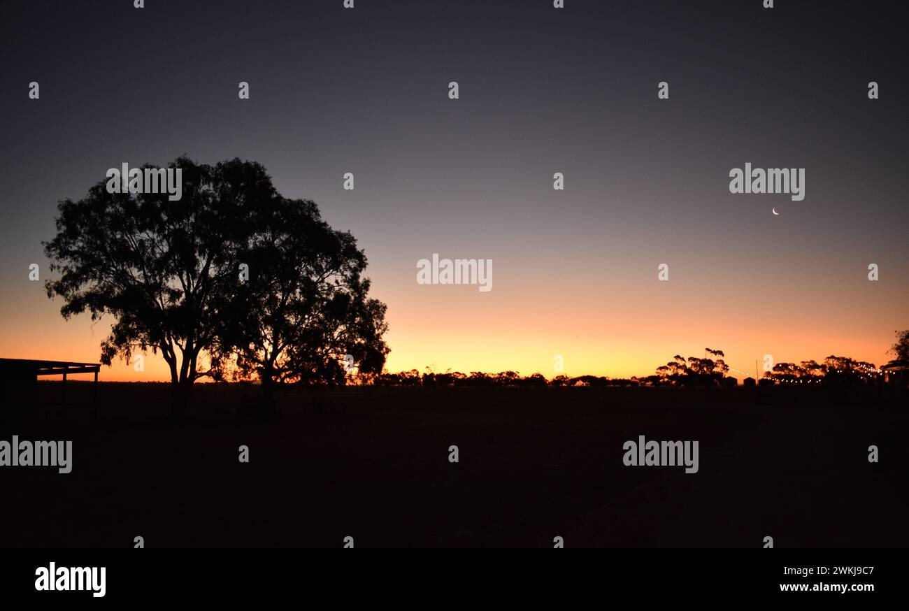 Tramonto su terreni agricoli. Ombre in primo piano di alberi, capannoni e macchinari. Illuminazione Festoon a metà campo. Presa la penisola di Eyre, Australia meridionale. Foto Stock