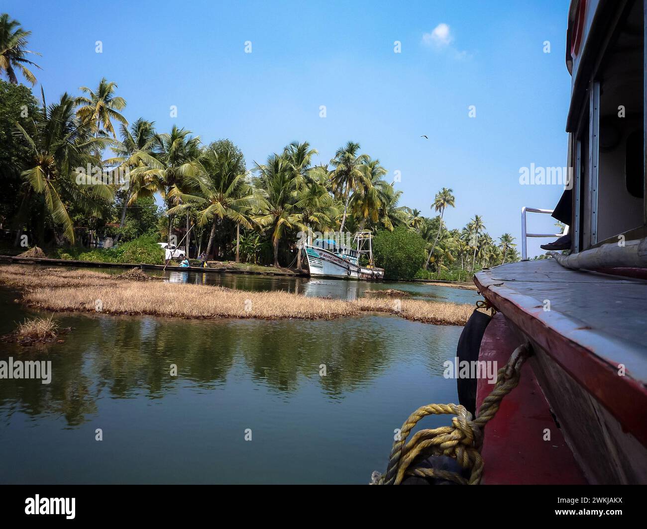 India, Kerala, Backwaters: Navigazione sui canali tropicali delle backwaters tra Kollam e Alappuzha Foto Stock