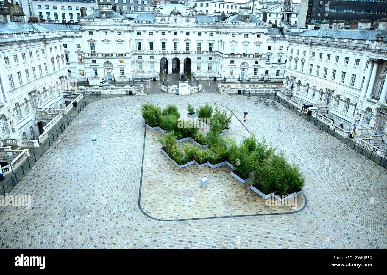 Utilizzando oltre 300 bambù di provenienza locale, l'installazione lunga 15 metri trasforma lo spettacolare cortile di Somerset House in un giardino di bambù composto da piante di bambù alte tra i 2 e i 4 metri. L'opera crea un luogo di contemplazione e serve a ricordare l'importanza dell'intimità uomo-pianta all'interno del paesaggio urbano di Somerset House e del centro di Londra. Il progetto partecipativo su larga scala di Zheng sarà l'ultima aggiunta alla serie annuale della Somerset House Courtyard commission, che vedrà la partecipazione di artisti internazionali contemporanei ... Foto Stock