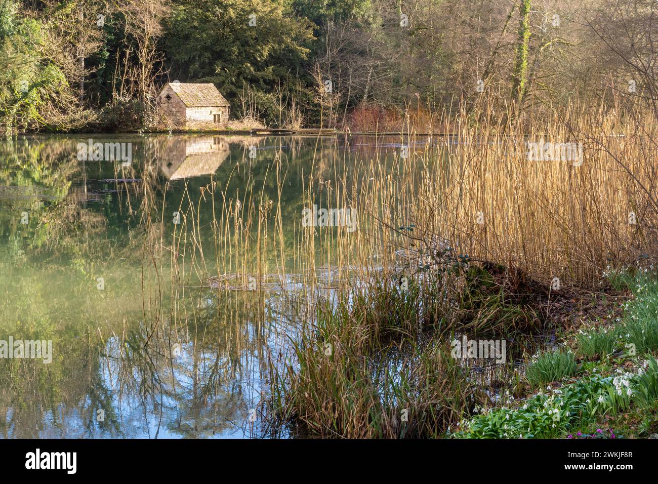 Vista del lago a Colesbourne Park, una tenuta di campagna nel Gloucestershire, Inghilterra, Regno Unito, durante il mese di febbraio Foto Stock
