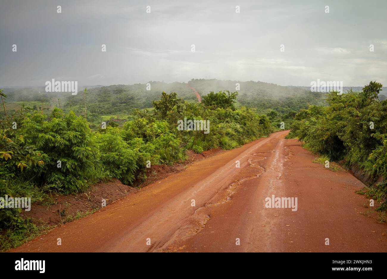 Una strada di terra rossa dopo la pioggia attraverso la savana e la natura selvaggia vicino a Cholesamvula in Tanzania. Foto Stock