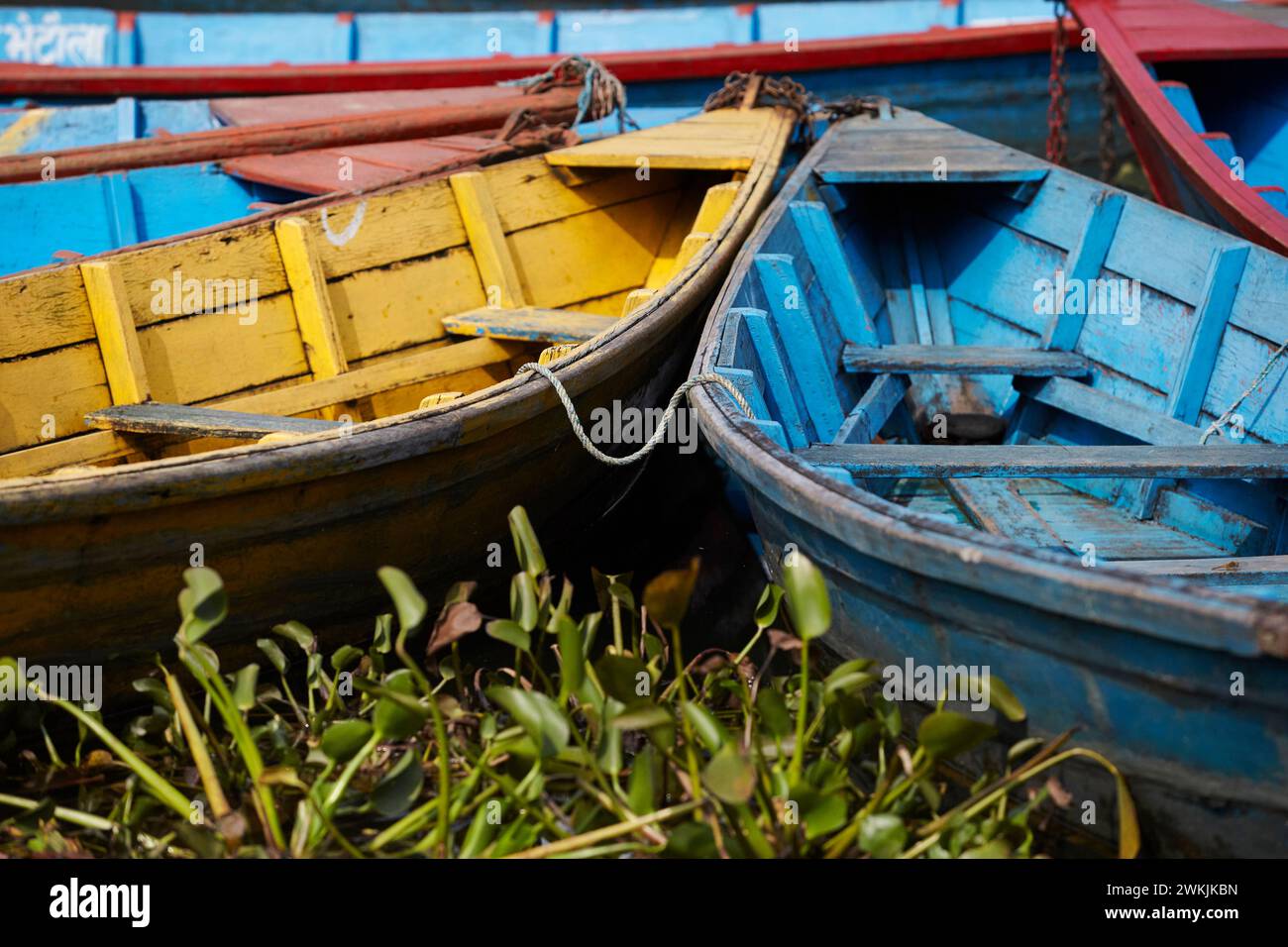 Dettaglio delle barche colorate sul lago Phewa, Pokhara, Nepal. Foto Stock