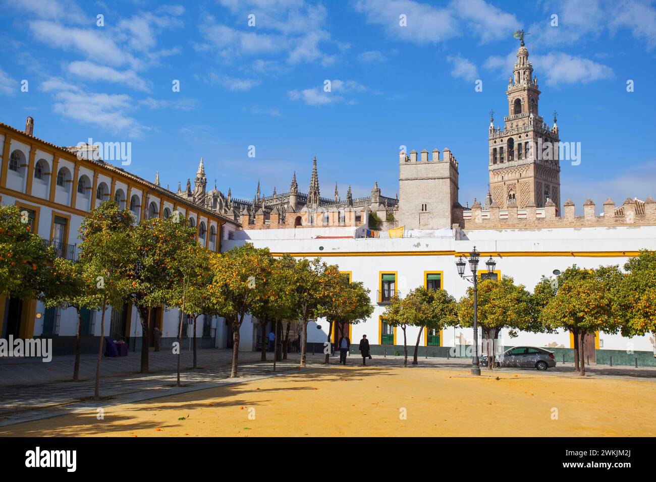 Alberi di arancio nel "Patios de la Bandera" con la torre campanaria della Giralda sullo sfondo, Siviglia, Andalusia, Spagna, Europa. Foto Stock