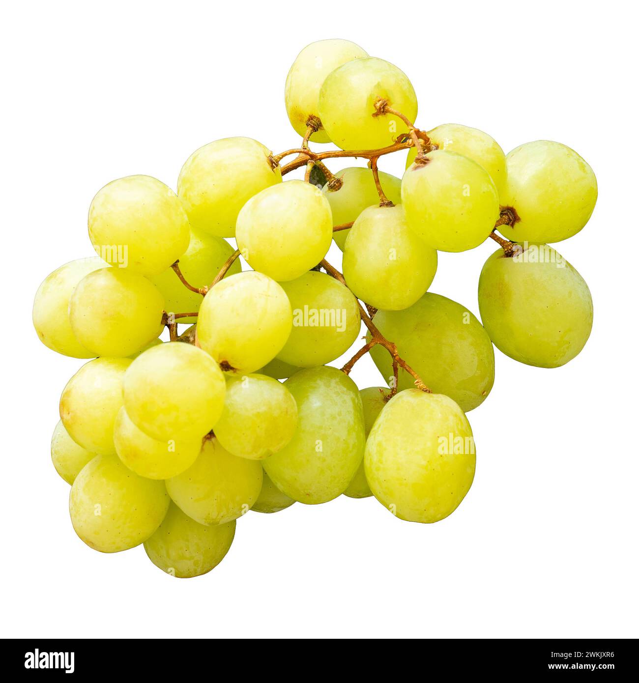 Grappolo D'uva Artificiale In Plastica – Realistico, 36 Acini – Verde - 3