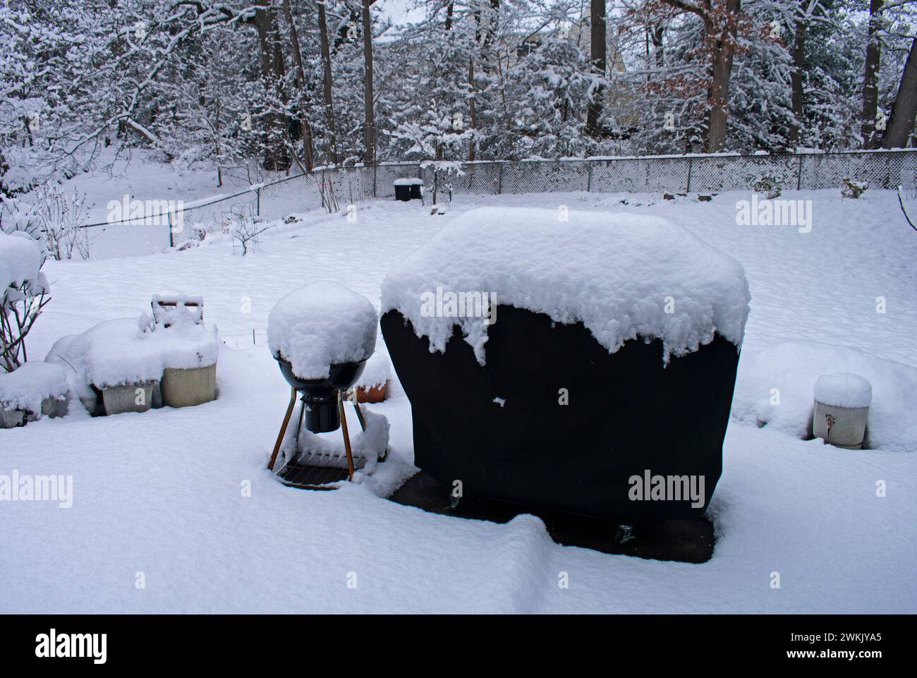 Durante l'inverno la neve copre una griglia per barbecue a gas e carbone in un Old Bridge, New Jersey, cortile sul retro, -21 Foto Stock