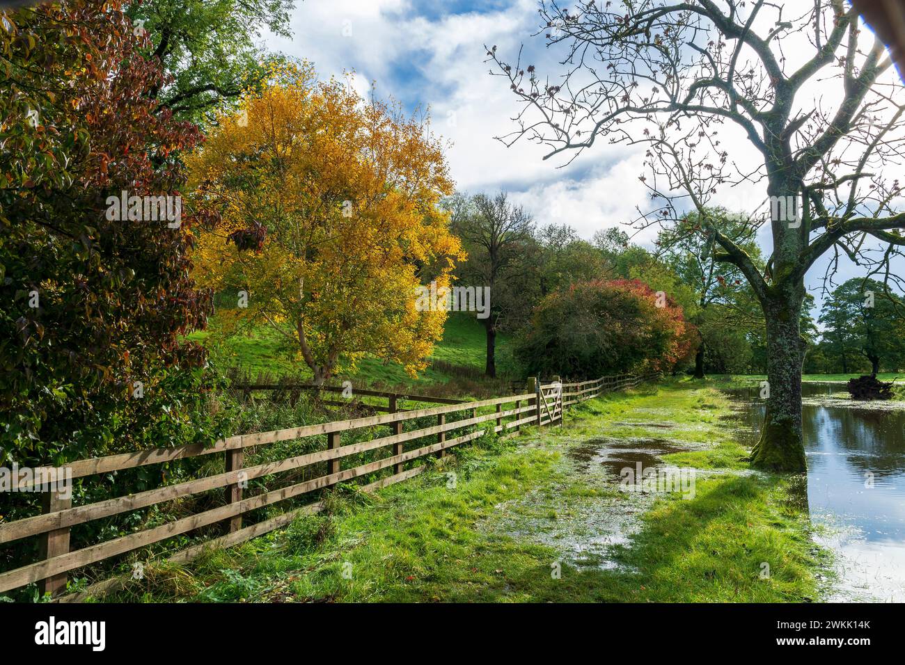 Vista dal sentiero pedonale vicino al lago artificiale Gouthwaite parte del sentiero a lunga distanza Nidderdale Way a Nidderdale nel North Yorkshire, Inghilterra. Foto Stock