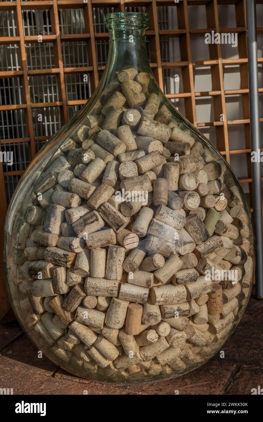 Un demijohn in vetro è pieno di molti sugheri Foto Stock