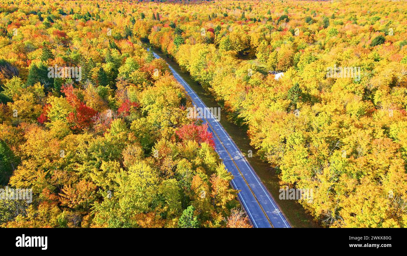 Vista aerea della strada panoramica d'autunno attraverso la foresta colorata Foto Stock