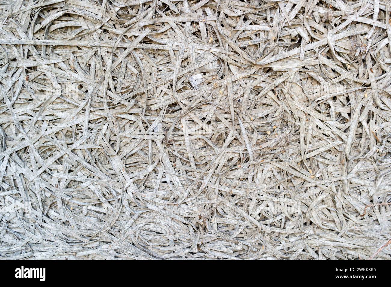 sfondo per pannelli da costruzione leggeri in lana di legno Foto Stock