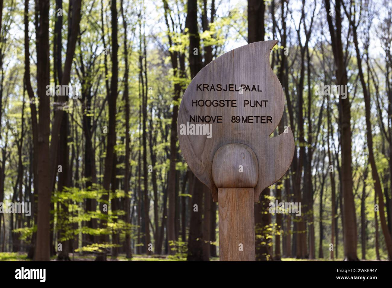 Cartello segnaletico per il punto più alto (89 m sul livello del mare) a Ninove, Fiandre orientali, Belgio. Un cartello in legno trovato nella foresta di Neigem, con sfondo Foto Stock