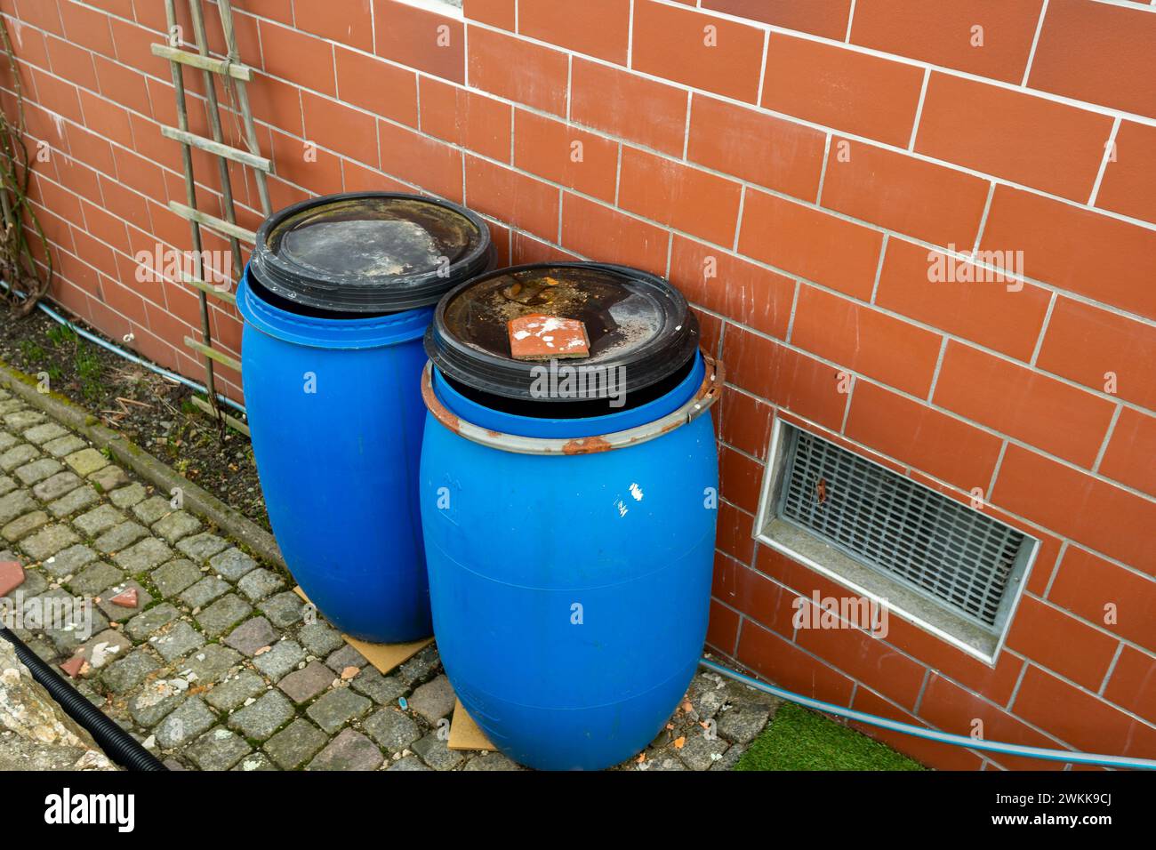 vecchio fusto di plastica blu per l'acqua piovana in giardino Foto Stock