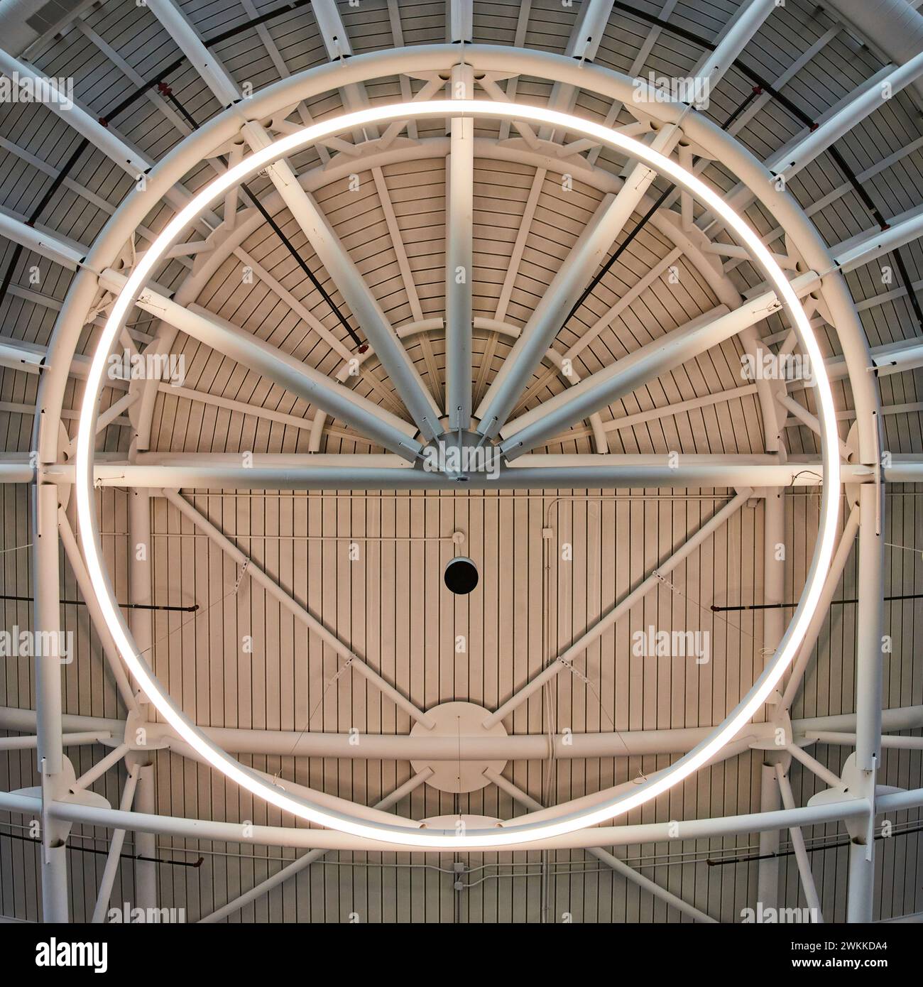 Moderna architettura a soffitto con luce circolare, Aeroporto di Charlotte Foto Stock
