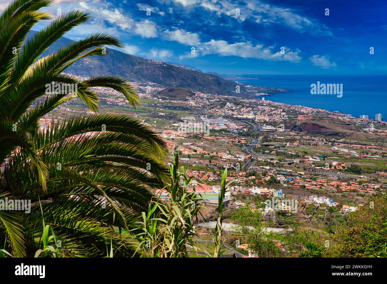 Valle di la Orotava, Tenerife, Isole Canarie, Spagna Foto Stock