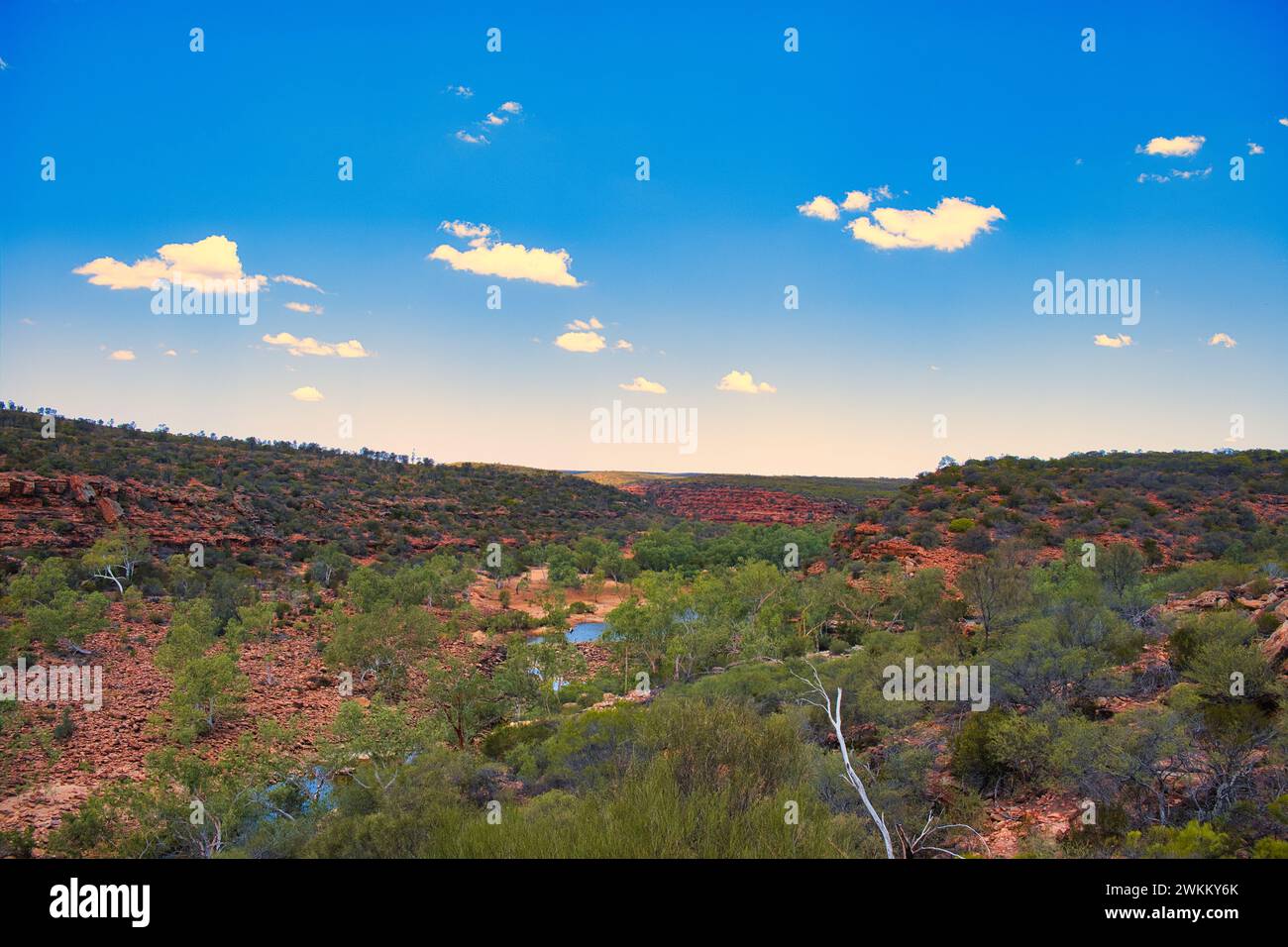 Vista della valle del fiume Murchison, con alberi verdi e rocce rosse, dalla passeggiata sul fiume Ross Graham, dal Parco Nazionale di Kalbarri, Australia Occidentale Foto Stock