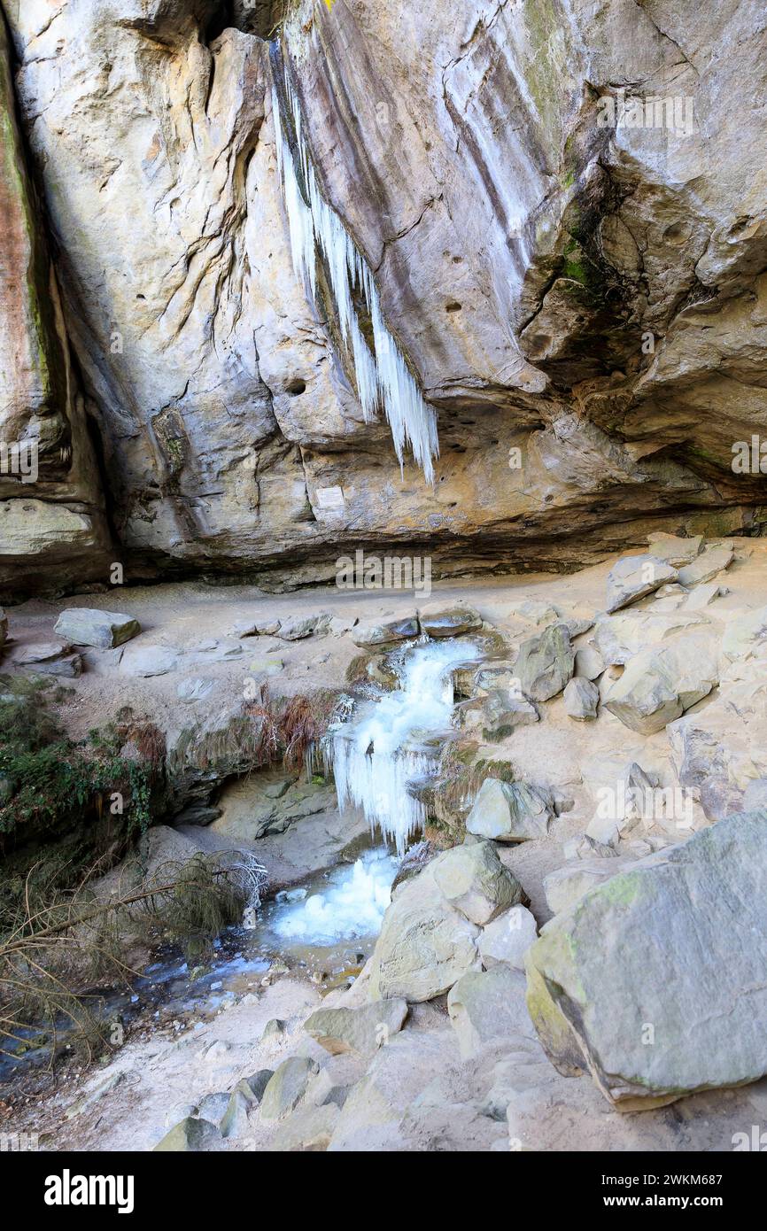 Gefrorener Wasserfall mit Eiszapfen in der Gautschgrotte, Hohnstein, Sachsen, Deutschland *** cascata congelata con ghiaccioli nella Gautschgrotte, Hohn Foto Stock