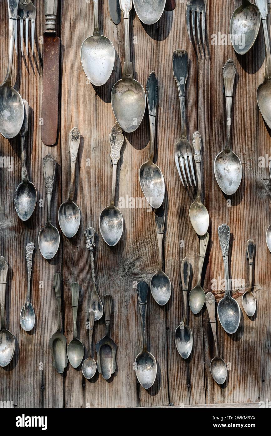 Argenteria vintage assortita appesa su pareti in legno. Collezione di cucchiai e forchette antichi. Arredi in stile rustico e tradizione culinaria Foto Stock