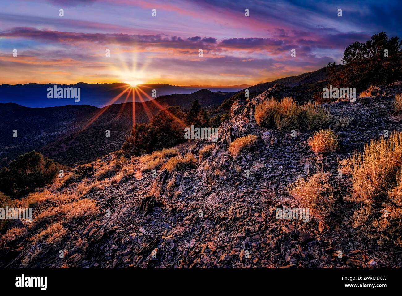 Tramonto sulla catena montuosa con alberi e campi in primo piano Foto Stock