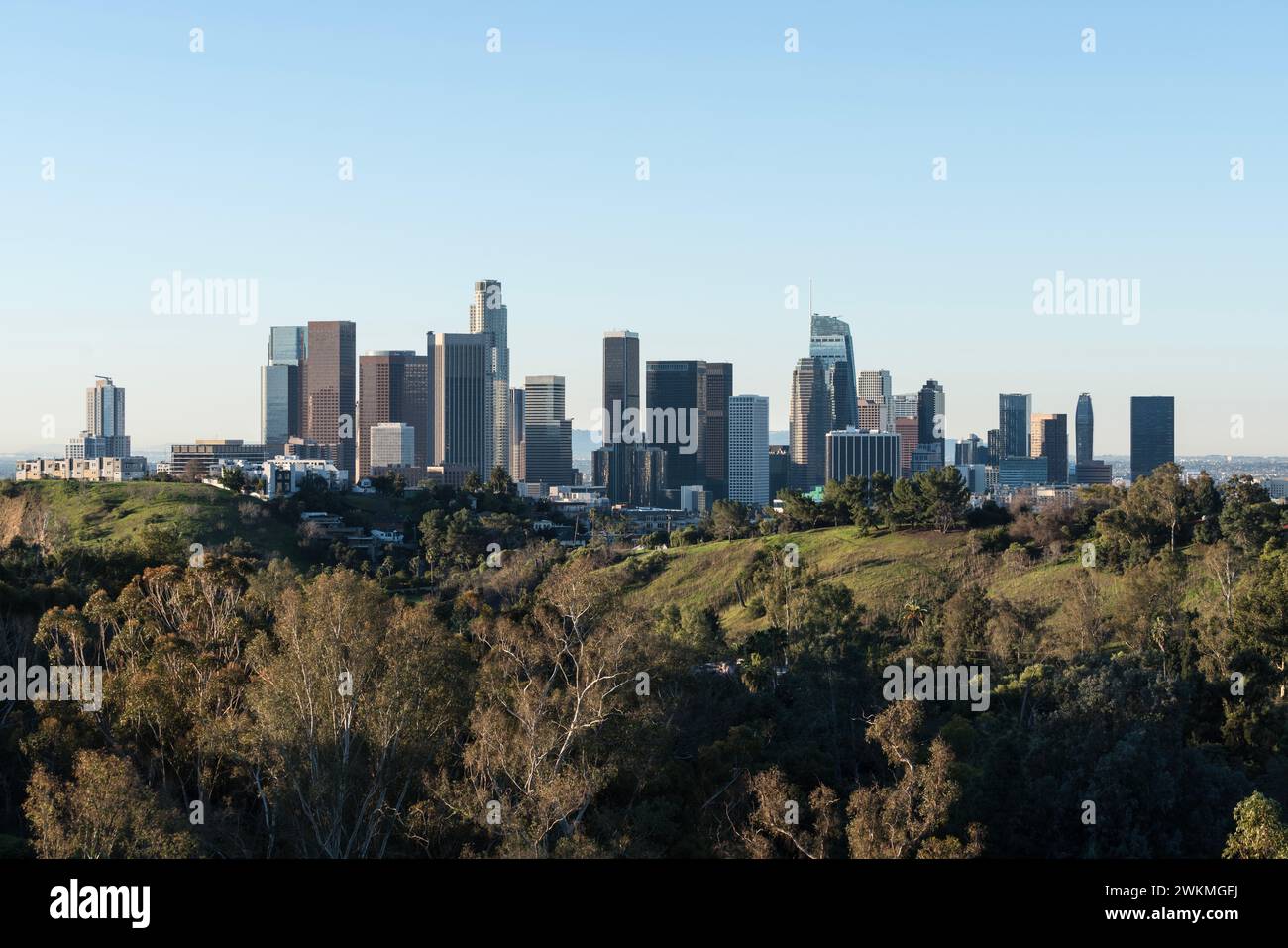 Skyline urbano del centro di Los Angeles con la foresta di Elysian Park in primo piano. Foto Stock