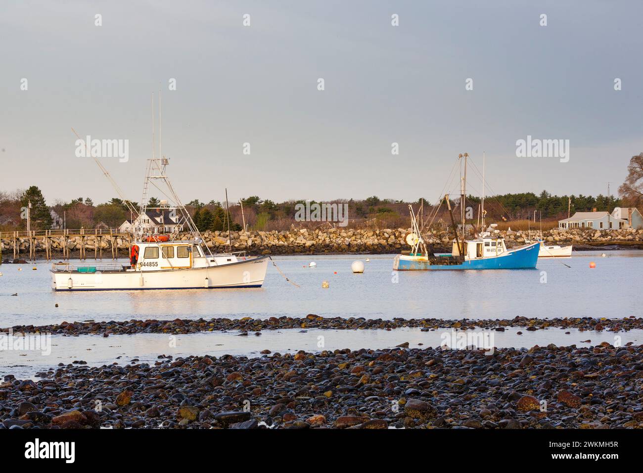 Barche ancorate a Rye Harbor a Rye, New Hampshire, la mattina presto. Foto Stock