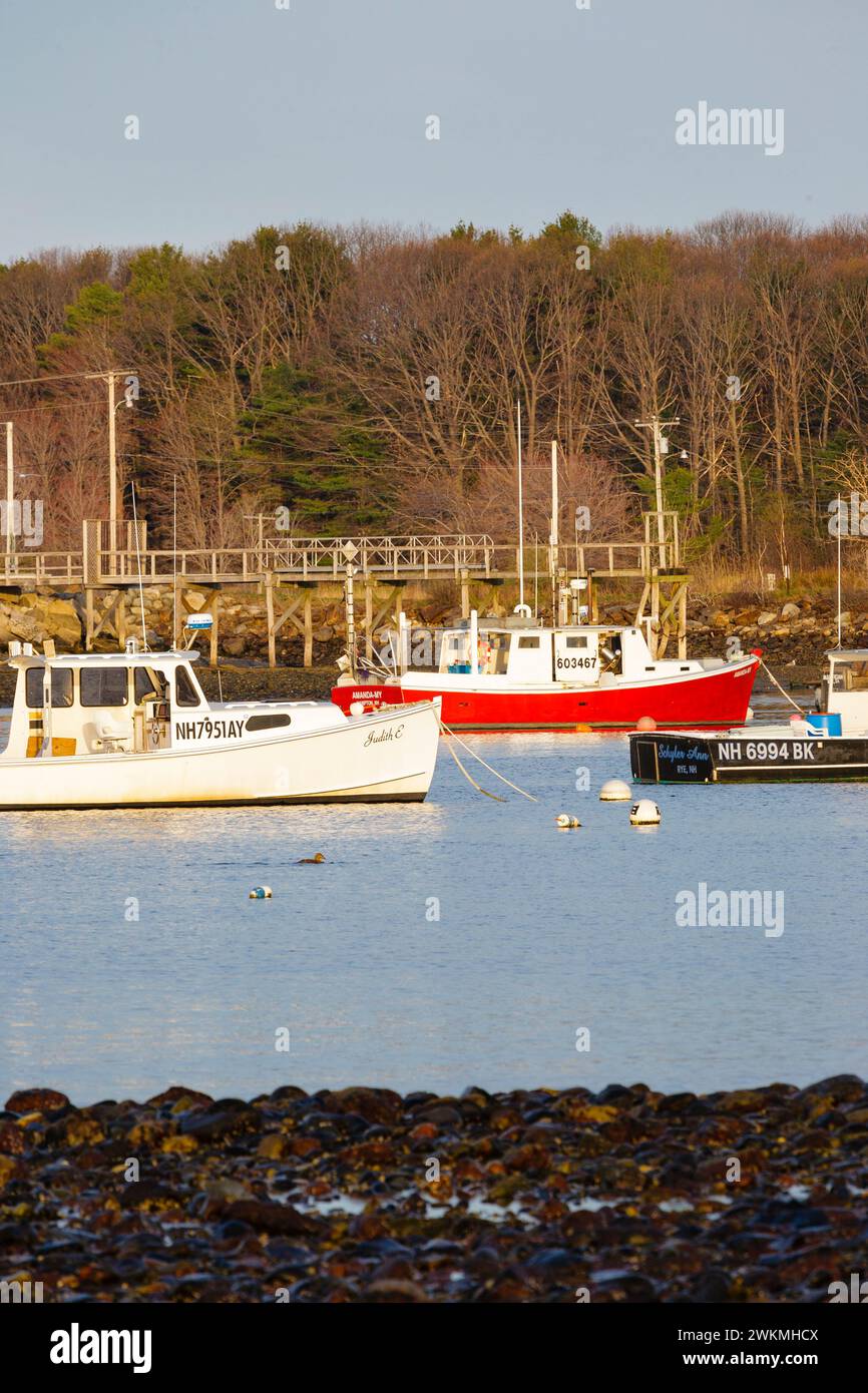 Barche ancorate a Rye Harbor a Rye, New Hampshire, la mattina presto. Foto Stock