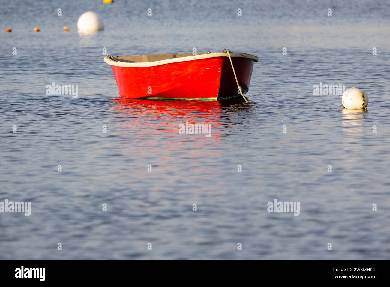 Barche ancorate a Rye Harbor a Rye, New Hampshire, la mattina presto. Foto Stock