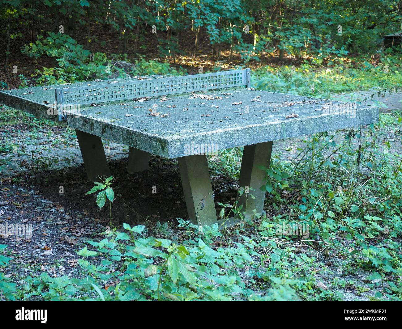 tavolo da ping pong in pietra nel parco Foto Stock