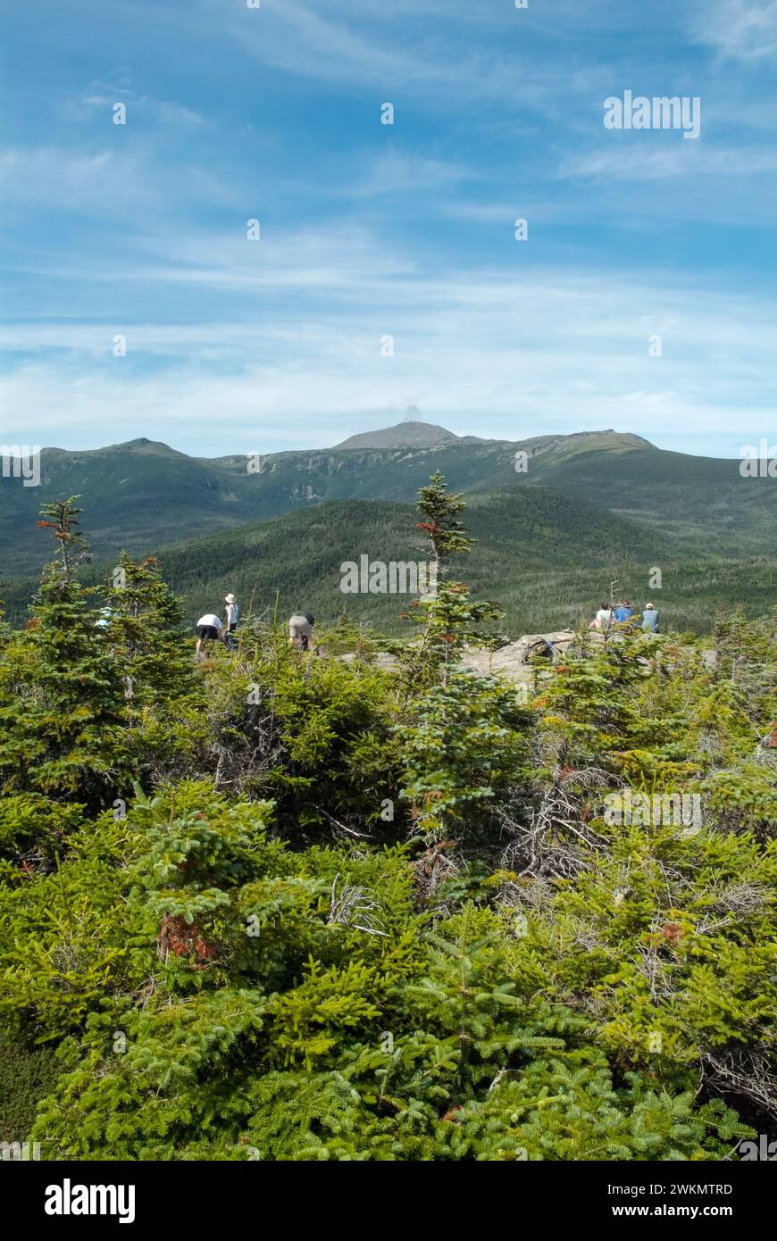 Mount Washington da Mount Isolation nelle White Mountains, New Hampshire, in una nuvolosa giornata estiva. Foto Stock