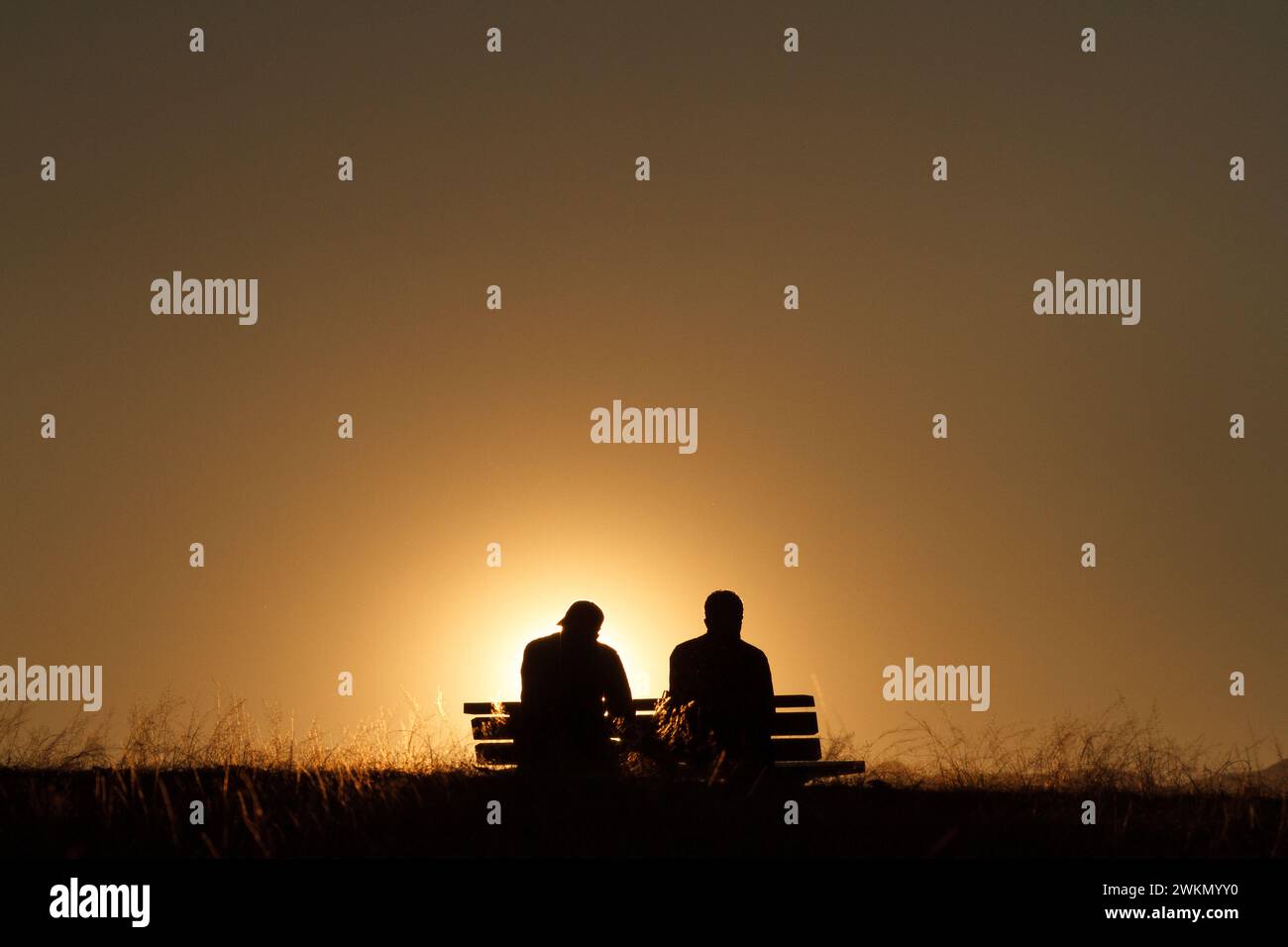 Due uomini seduti su una panchina guardano il tramonto dal parco Oyamada Ryokuchi, Machida, Tokyo, Giappone. Foto Stock