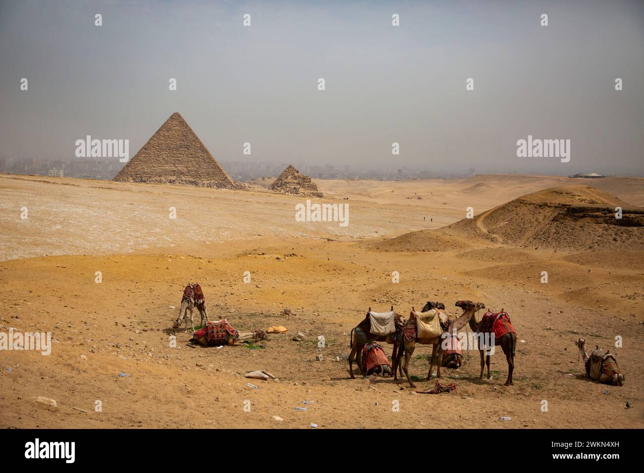 Cairo, Egitto. 24 marzo 2023. Il complesso delle piramidi di Giza è un affascinante sito archeologico che comprende non solo la grande Piramide di Khufu, ma anche la Piramide di Khafre e la Piramide di Menkaure, insieme a diverse piramidi, templi e strutture più piccole. Questo antico complesso si erge come una notevole testimonianza dell'ingegnosità e dell'abilità degli antichi egizi, attirando visitatori da tutto il mondo per ammirare il suo splendore architettonico e il suo significato culturale. (Credit Image: © Katrina Kochneva/ZUMA Press Wire) SOLO PER USO EDITORIALE! Non per USO commerciale! Foto Stock