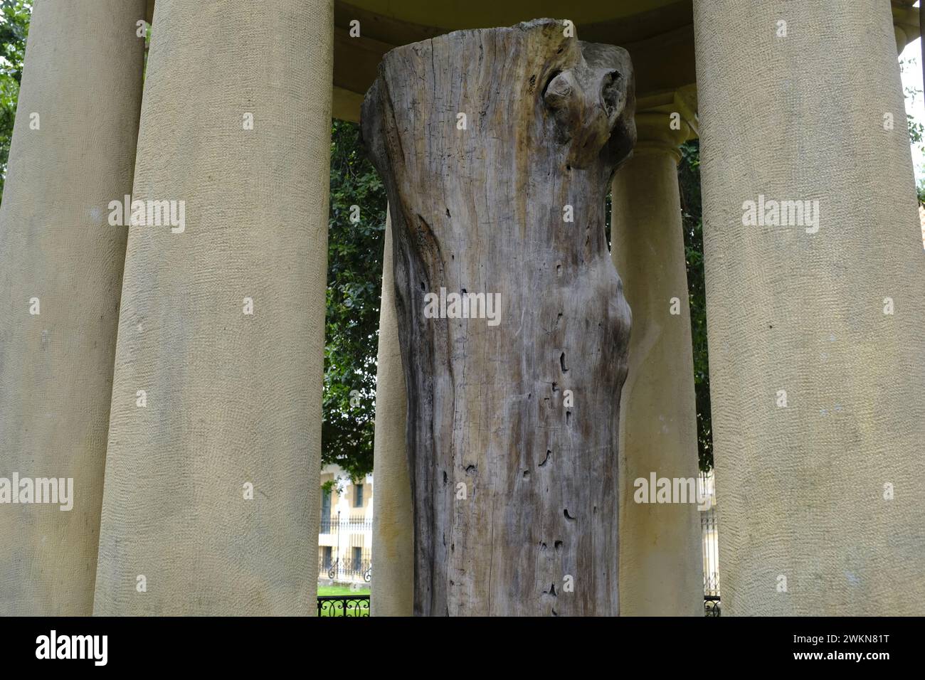 Albero di Guernica nei Paesi Baschi Foto Stock