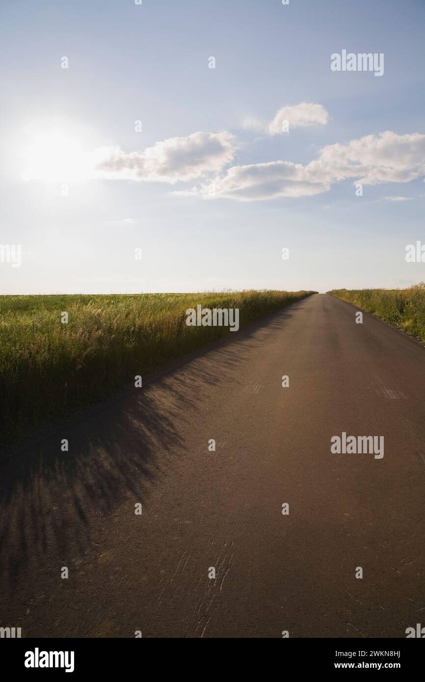 Strada di campagna asfaltata nera asfaltata attraverso il campo agricolo che si dirige in lontananza, Saint-Jean, Ile d'Orleans, Quebec, Canada. Foto Stock