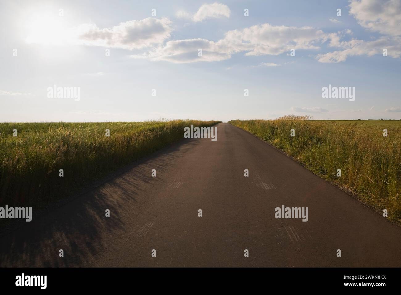 Strada di campagna asfaltata nera asfaltata attraverso il campo agricolo che si dirige in lontananza, Saint-Jean, Ile d'Orleans, Quebec, Canada. Foto Stock