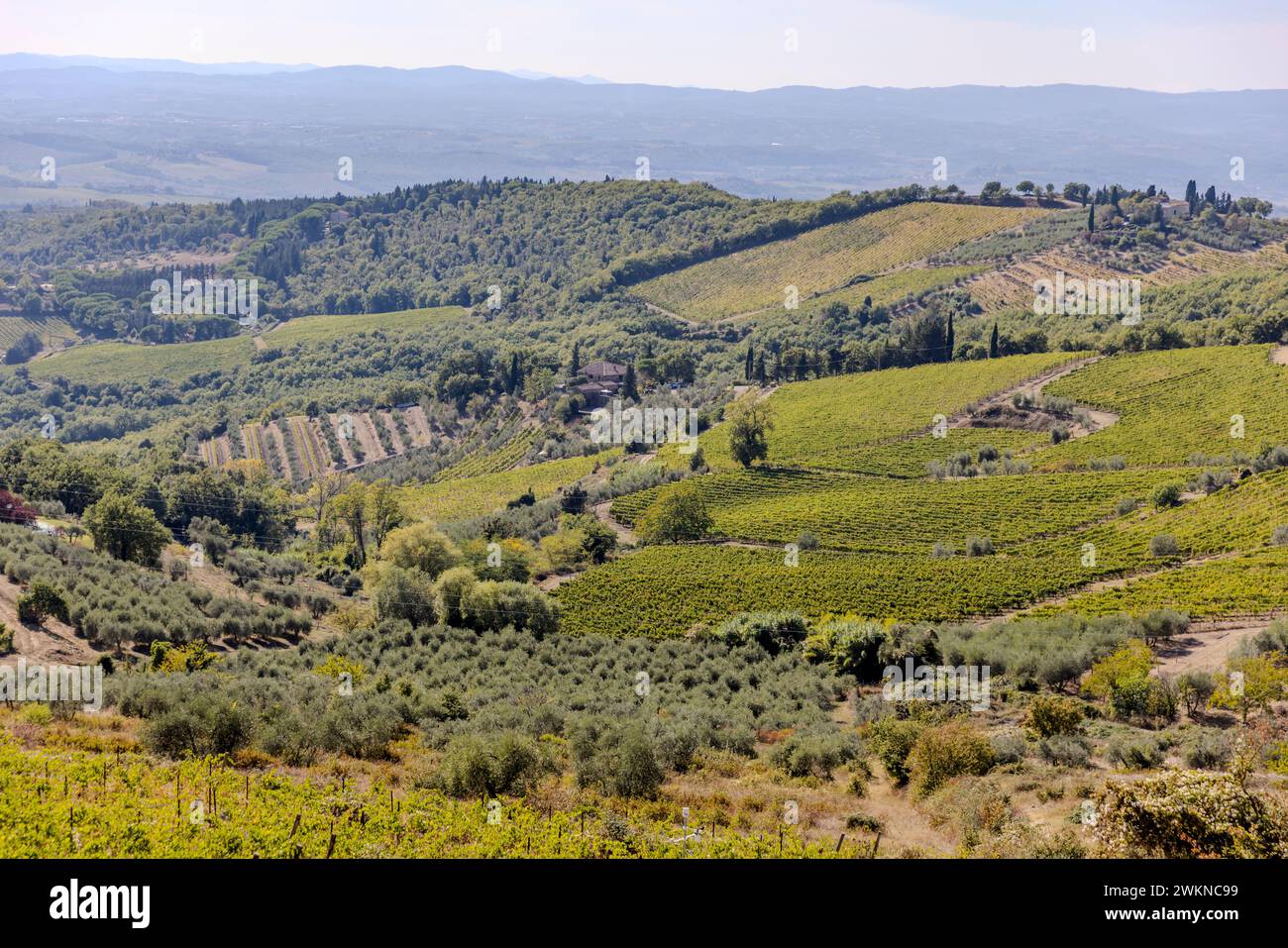 Vigneti come l'autostrada del Chianti in Toscana. Foto Stock