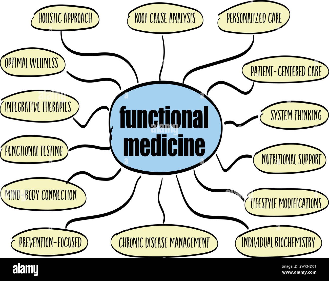 infografiche sulla medicina funzionale o schizzo della mappa mentale, concetto olistico di assistenza sanitaria Illustrazione Vettoriale