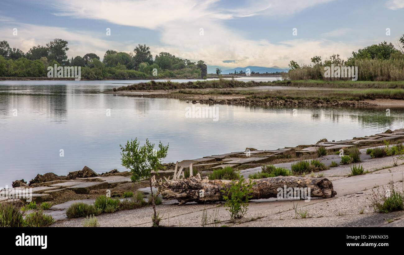 Isola della Cona, riserva naturale, isola di grado, costa settentrionale dell'Adriatico, Friuli, Italia, grado, Friuli, Italia Foto Stock