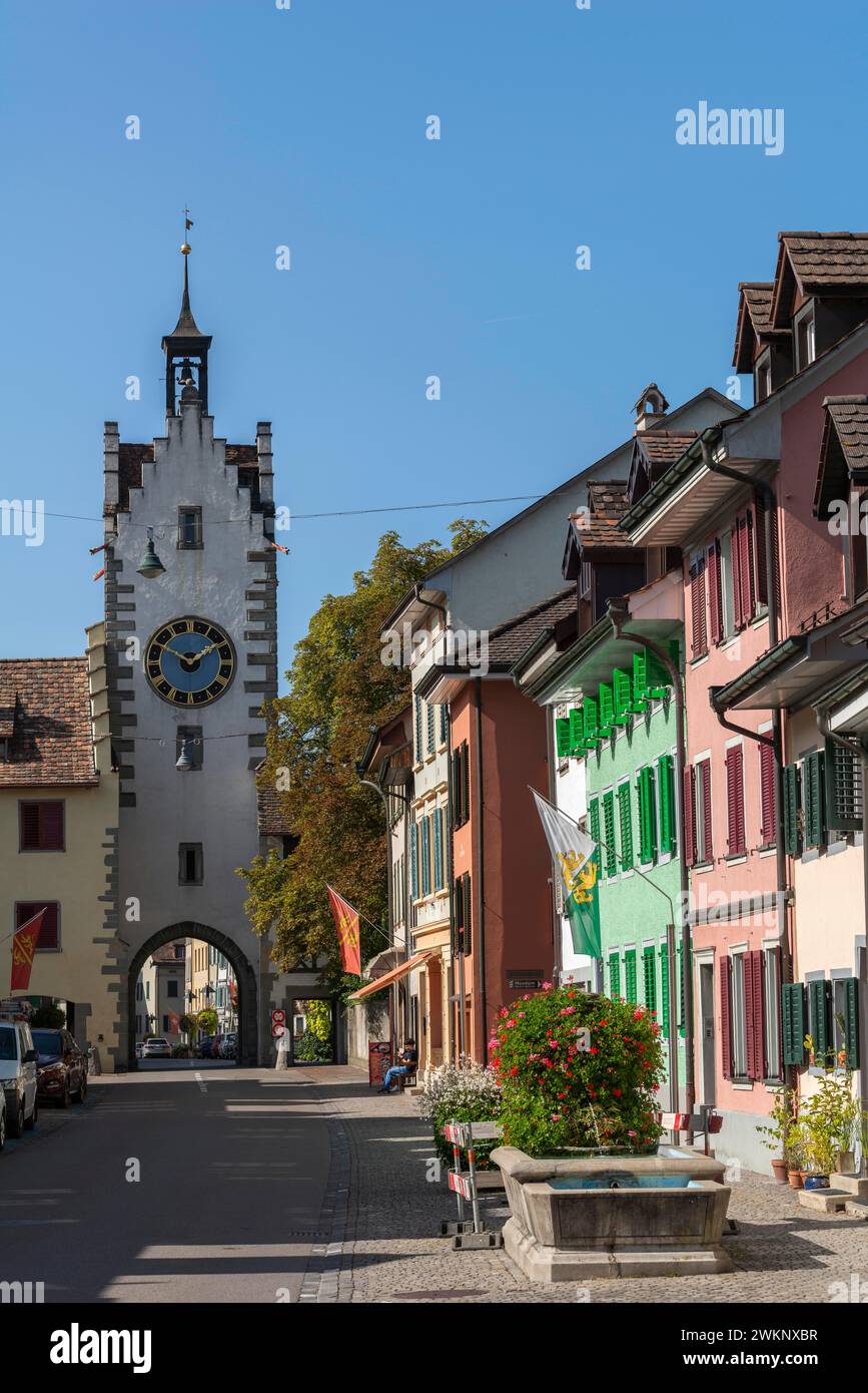 Centro storico di Dissenhofen am Rhein, cancello, orologio a torre, decorazione floreale, quartiere Frauenfeld, canton Thurgau, Svizzera Foto Stock