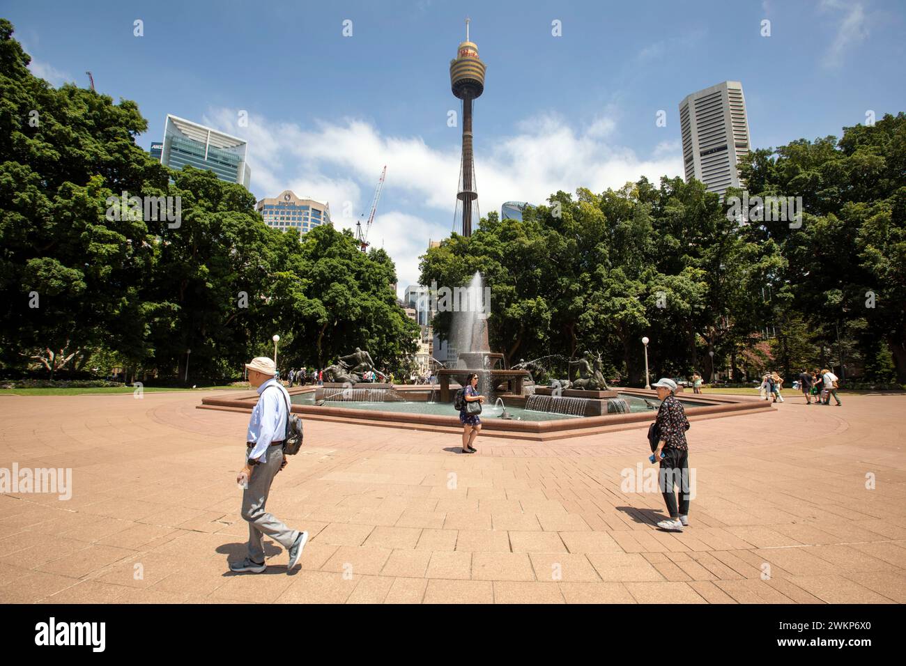 Foto di Tim Cuff - dicembre 2023 - Sydney, Australia Foto Stock