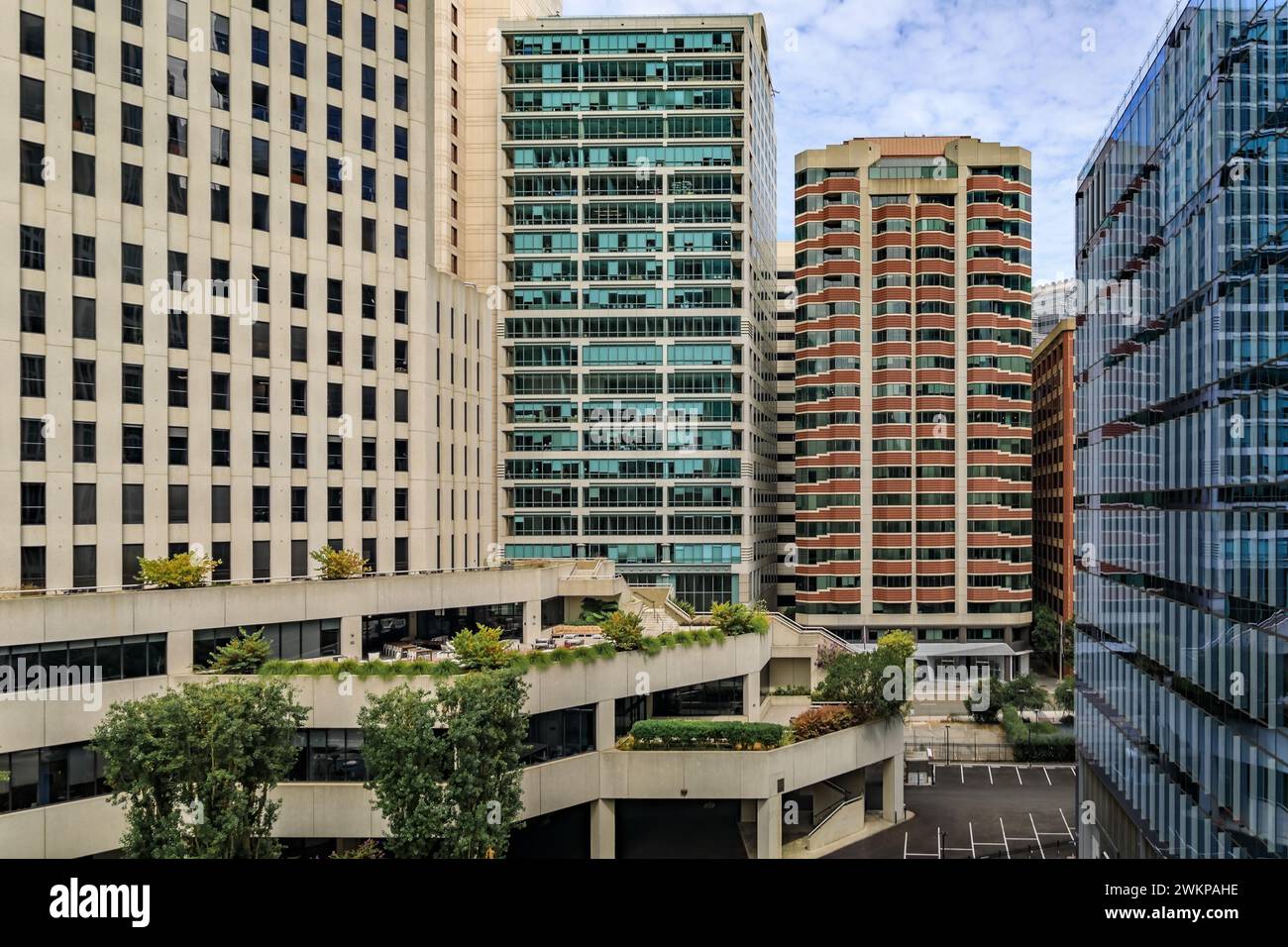 Vista di un grattacielo del centro con palme di fronte al quartiere SOMA di San Francisco, California Foto Stock
