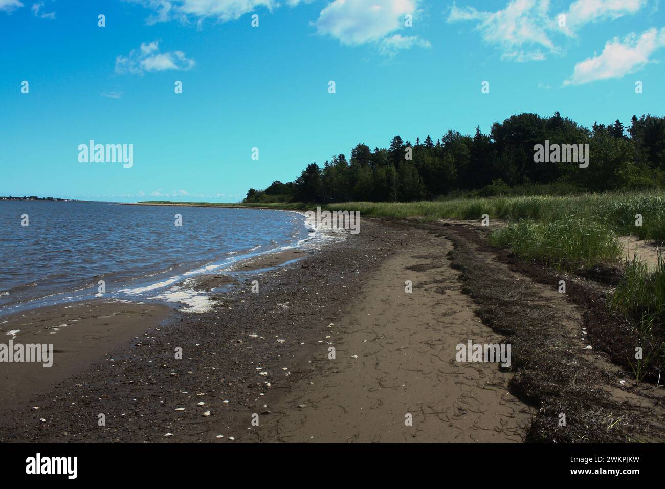 La costa rocciosa di Shediac Island, New Brunswick, Canada Foto Stock